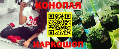 молекула духа Малоярославец