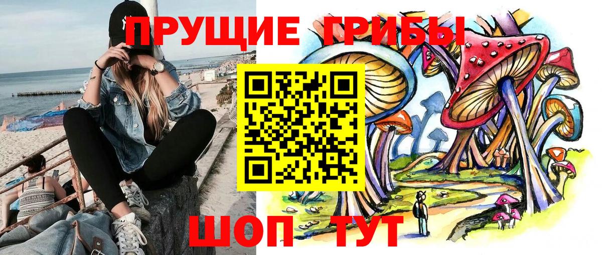 Псилоцибиновые грибы ЛСД Сибай