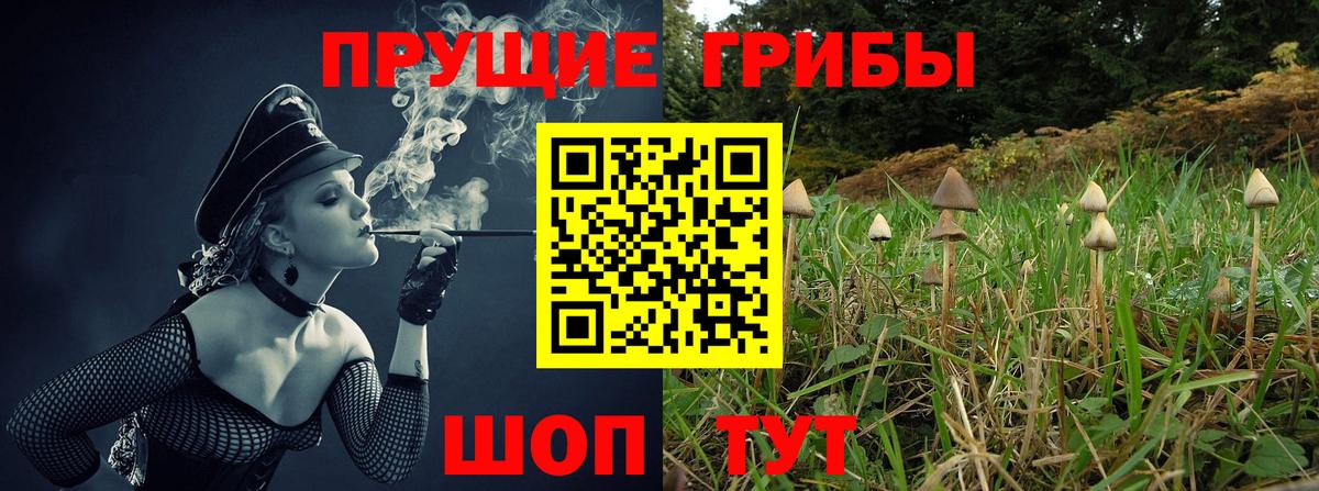 Галлюциногенные грибы мухоморы  Вход с VPN  цена наркотик  Сибай 